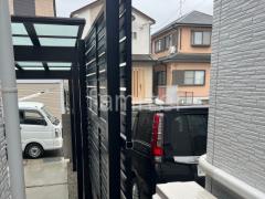 本体色 ブラック