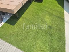�͹��� �襷�ߥ��ӿ� �ꥢ��͹��� 25���� ���𥷡��Ȳù�