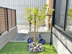 シンボルツリー イロハモミジ 落葉樹 植栽 ロックガーデン ユニソン ワズロック ビザン