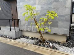 植栽 シンボルツリー アオダモ 照明 スッポトライト タカショー ガーデンアップライトミオ