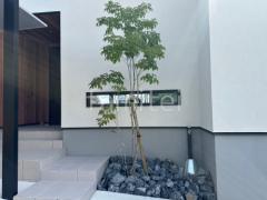 植栽 シンボルツリー 落葉樹 アオダモ ロックガーデン ゴロタ石敷き ユニソン ワズロック アオバ 立水栓 ユニソン スプレスタンド60 蛇口1個付き